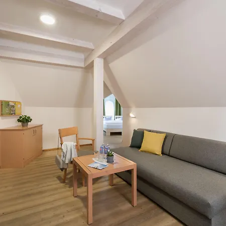 ホテル Jufa Schloss Roethelstein アドモント